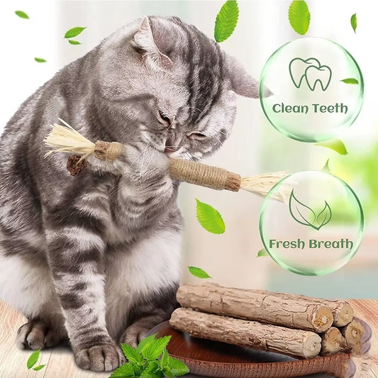 Silver Vine dental Toy (4pk)