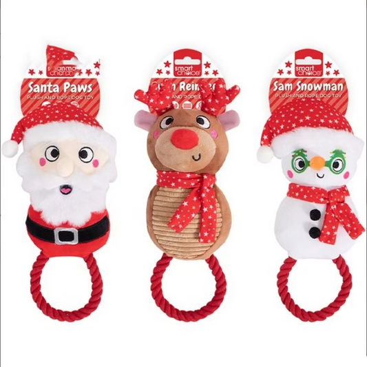 Festive Dog Rope Toy