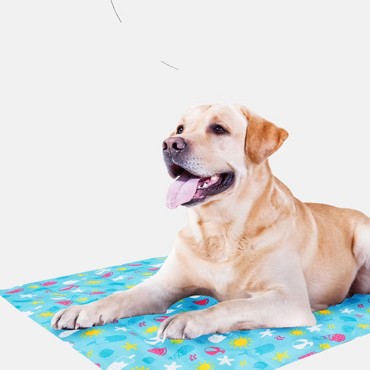Pet Cooling Mat 70cmx110cm