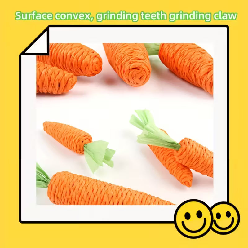 Carrot Shaped Cat Toy (2pk)