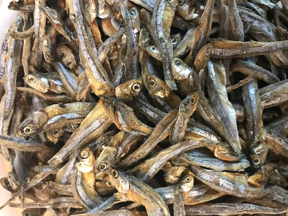 Fish Sprats